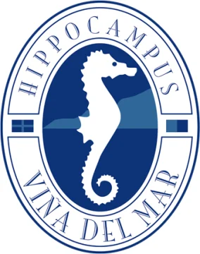 Hippocampus Viña del Mar