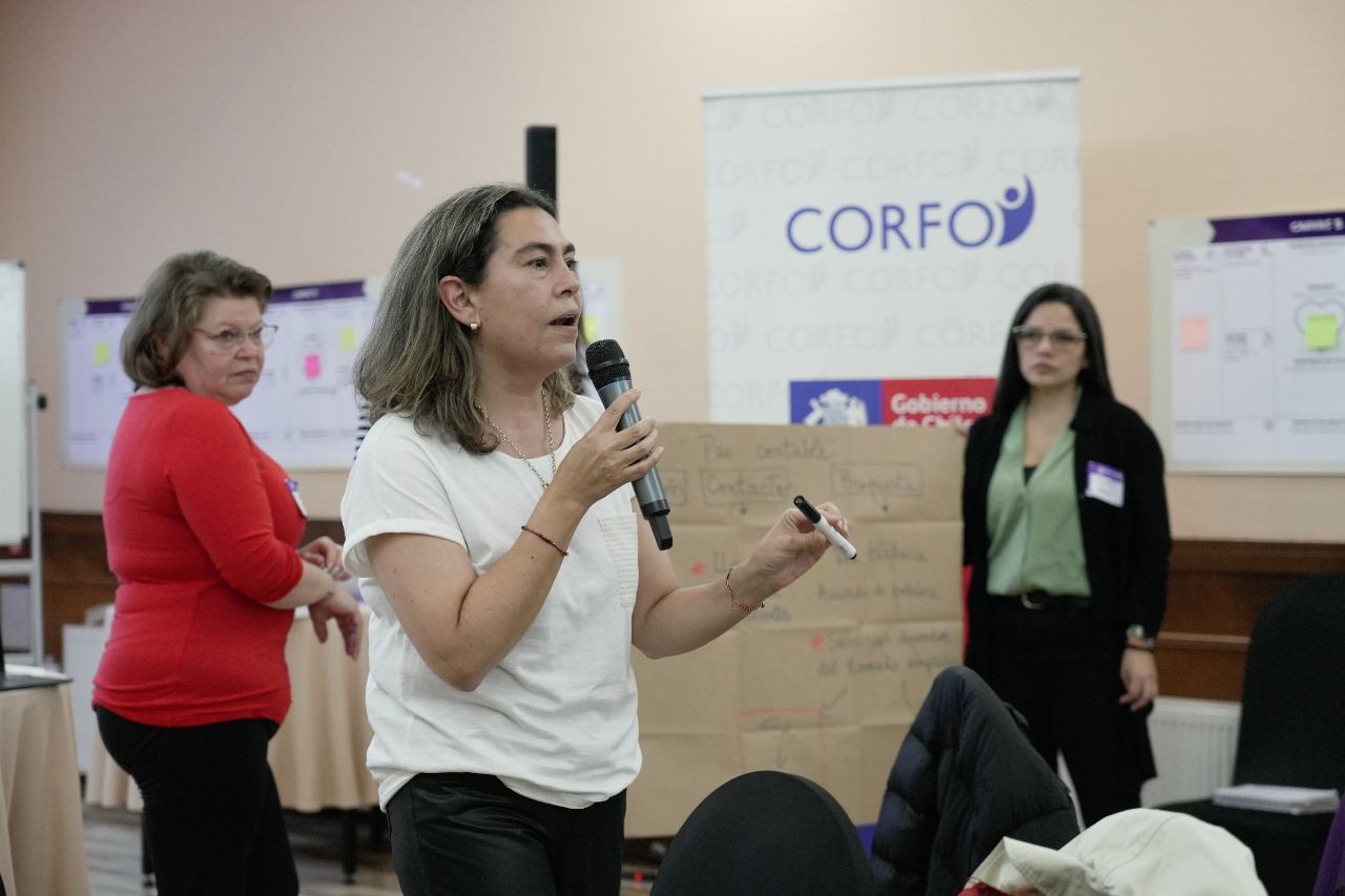Anita Bareyns dando una charla con micrófono ante un grupo de emprendedoras